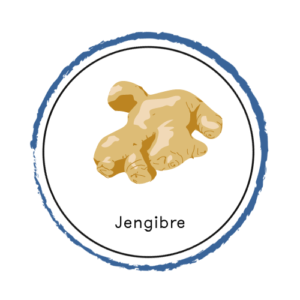 00_BotonJengibre